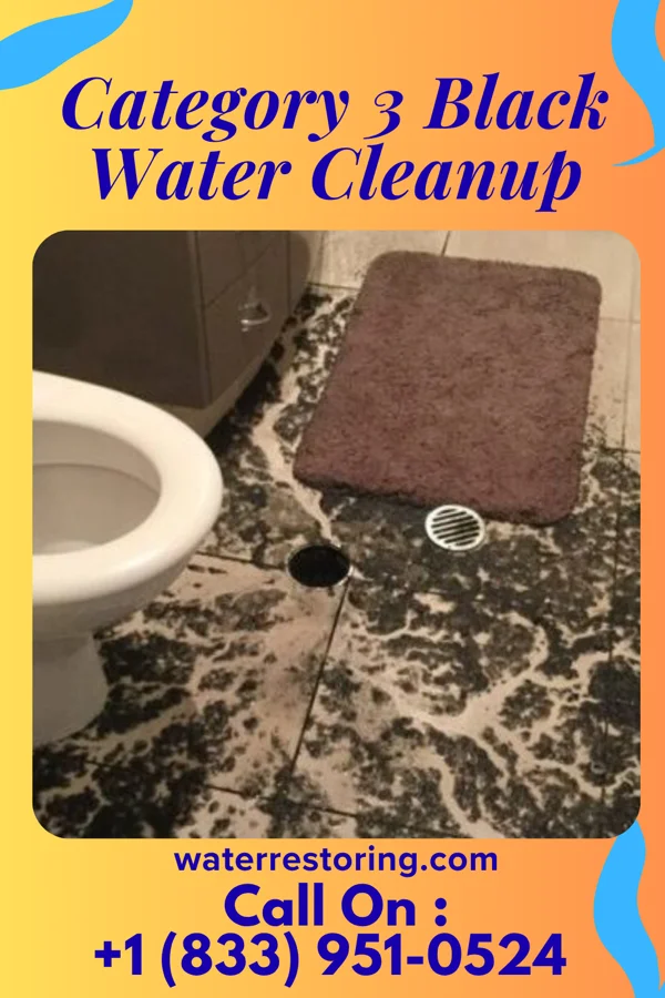 Category 3 Black Water Cleanup in St. Cloud, MO
